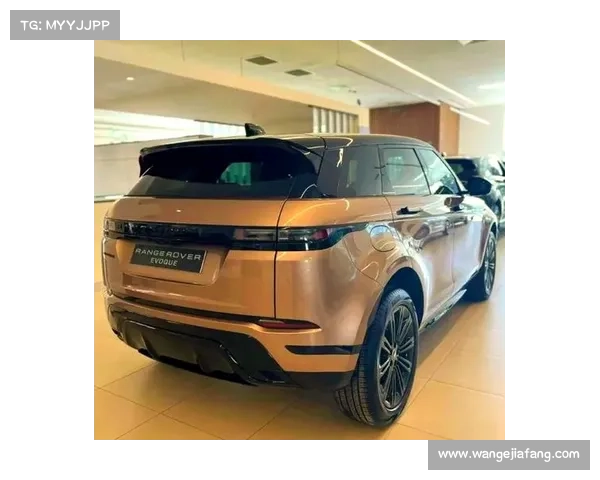 优惠后仅24.98万起售，全系2.0T动力，静态体验揽胜极光